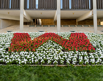 W_flowers_Humanities16_7471